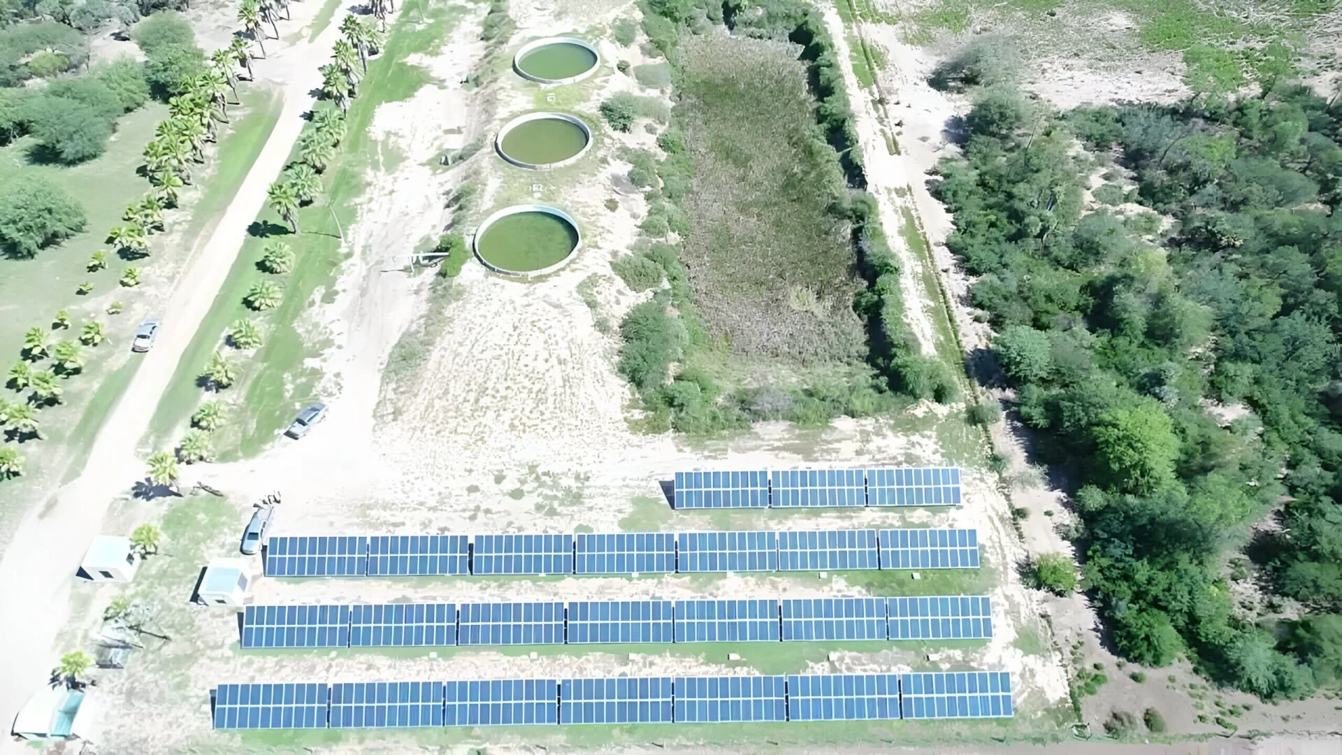 Solar diesel integration on an export company in Argentina