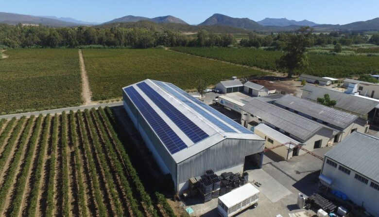 Wine & Cheese Farm in South Africa