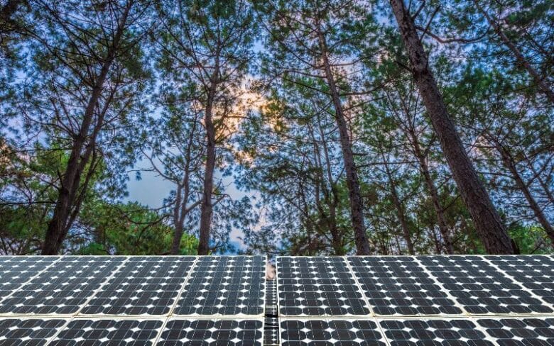 Hybrid Solar Power Plant in Amazon, Brazil Header Image
