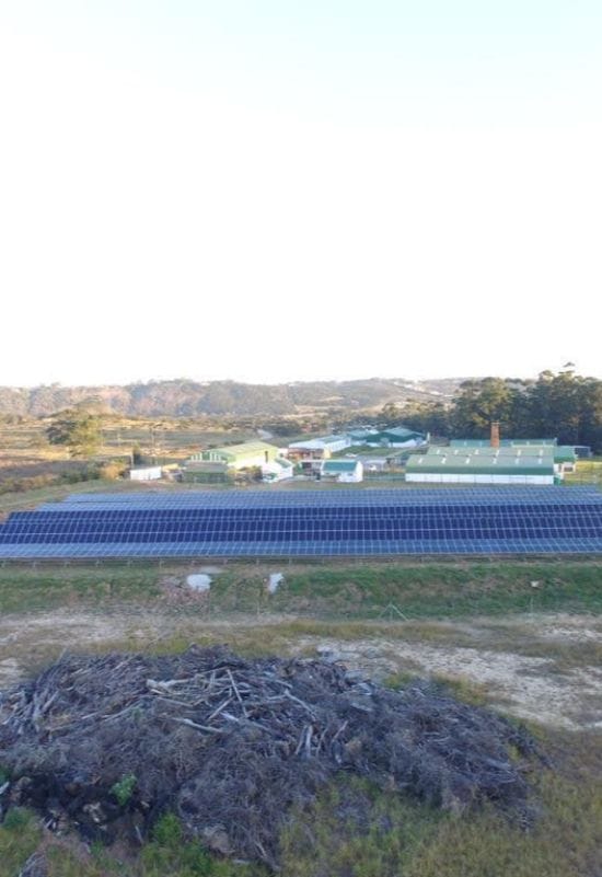 Solar Diesel Integration of C&I Building in South Africa Image 2